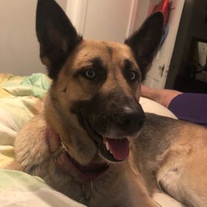 Meet your Posher, Cindy